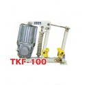 Тормоз колодочный ТКГ-100